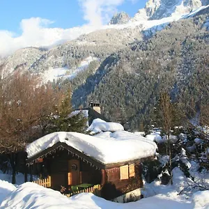 Alpine Rose , Chamonix France